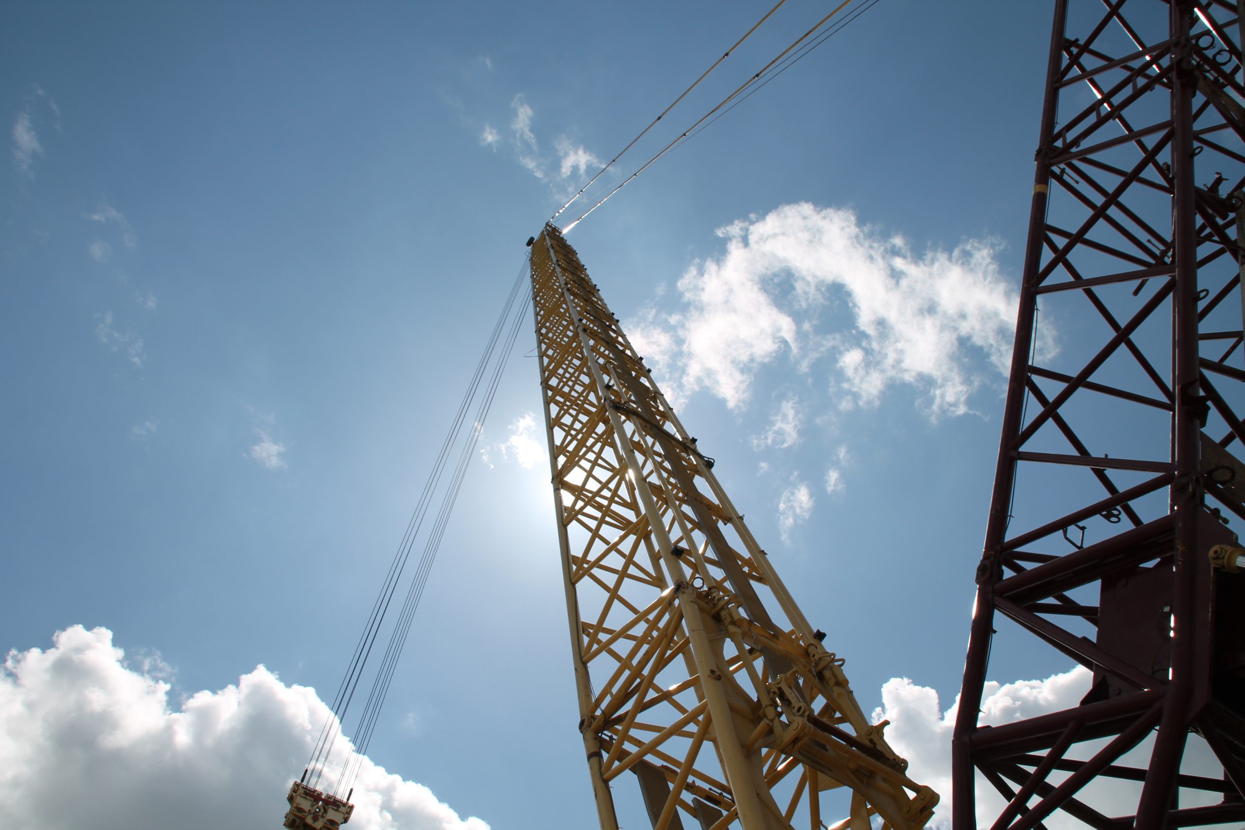 crane (3)